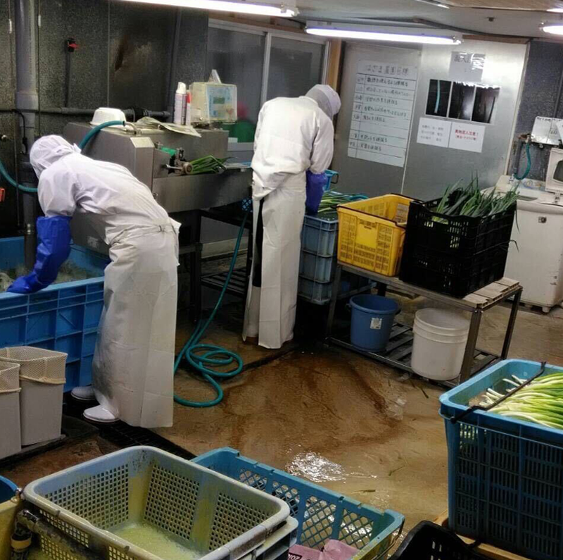 木の実就労継続支援B型事業